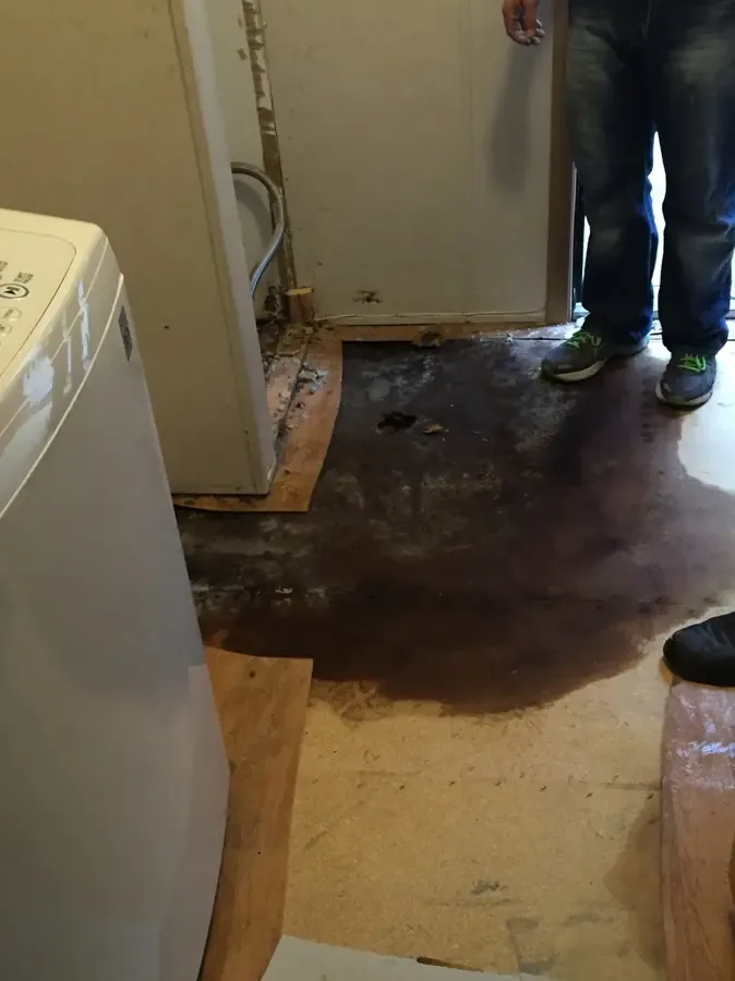 Water covers a laundry room floor beside a washing machine during leak cleanup
