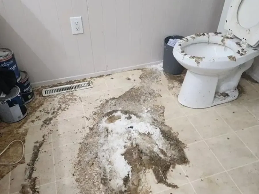 Dirty water and debris cover bathroom floor tiles beside a toilet after backup